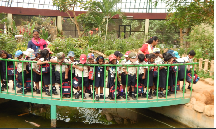 Carmel Academy ICSE School - JP Nagar