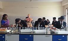 CHRIST SCHOOL - Ashok Nagar