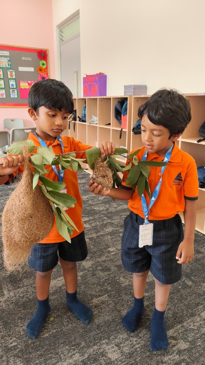 Embassy Academy - Devanahalli