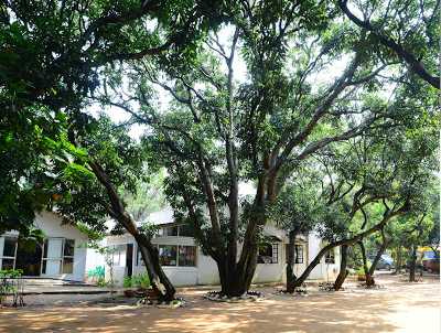 Greenwood High Pre School - Whitefield