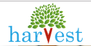 Harvest International School - Attibele
