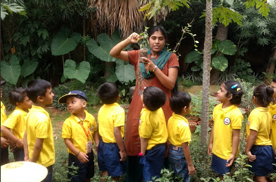 Kidzee Preschool - Konanakunte