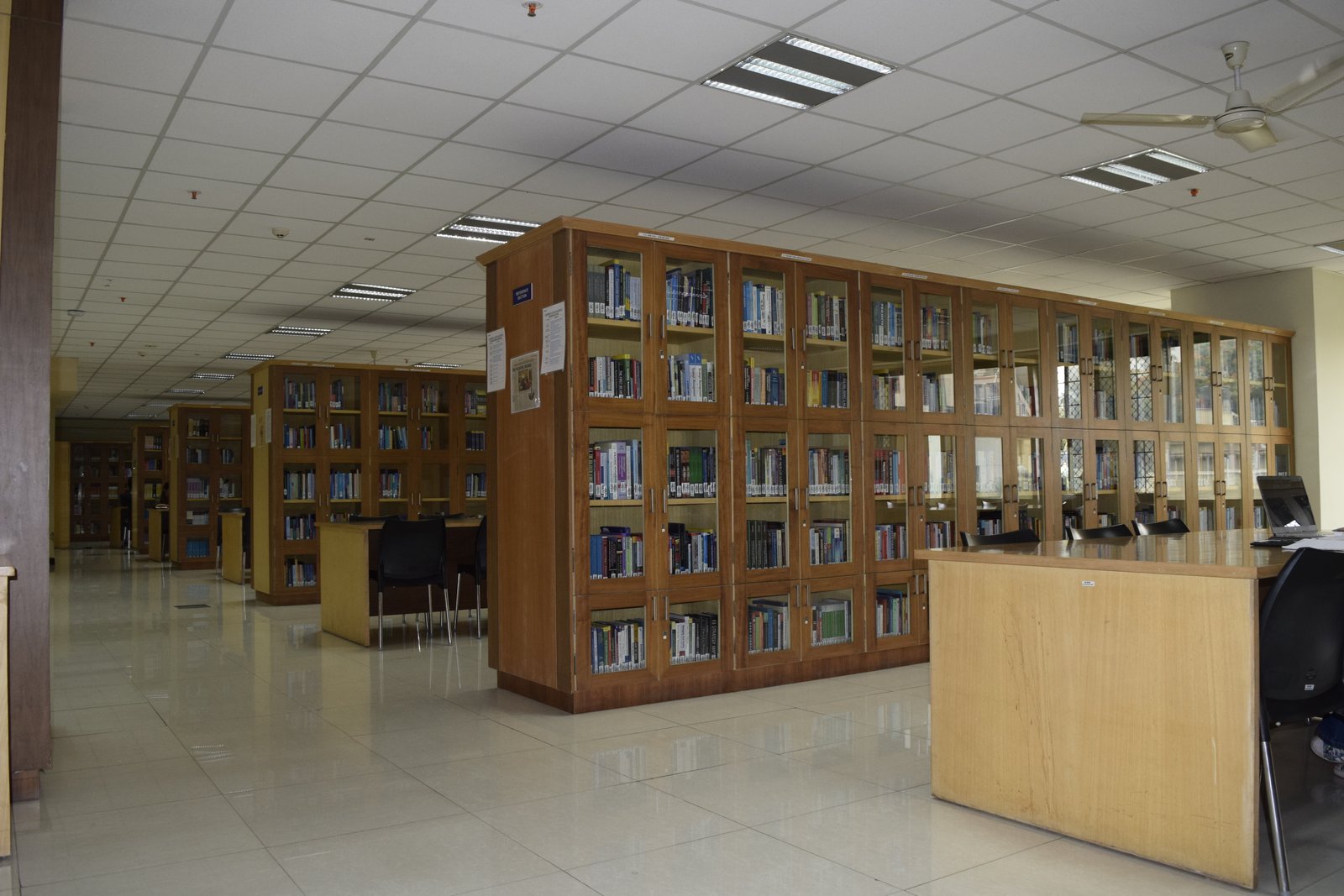 Knowledgeum Academy - Jayanagar