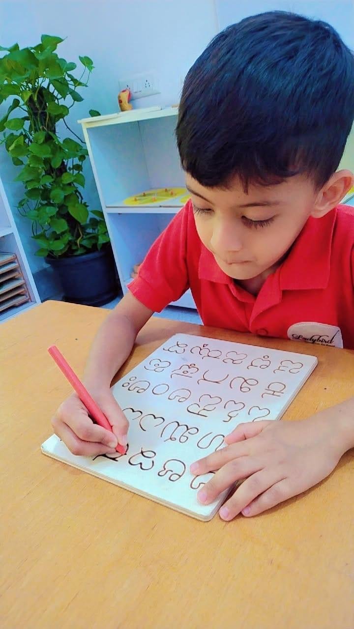 Olives Montessori - HBR Layout