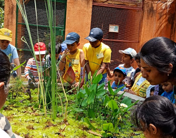 Podar Jumbo Kids Plus - Indiranagar