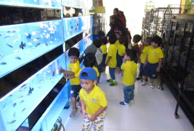 Podar Jumbo Kids Plus - Seshadripuram