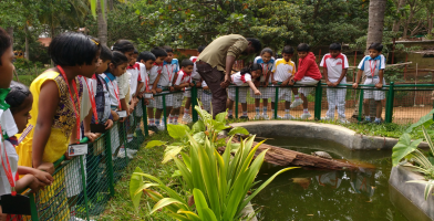 Royale Concorde International School - Sarjapur
