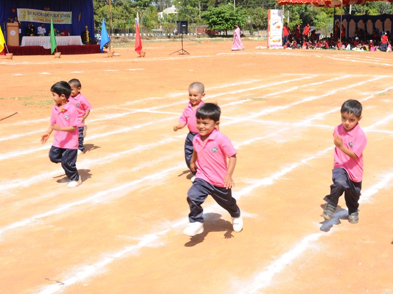 Sri Aurobindo Public School - JP Nagar
