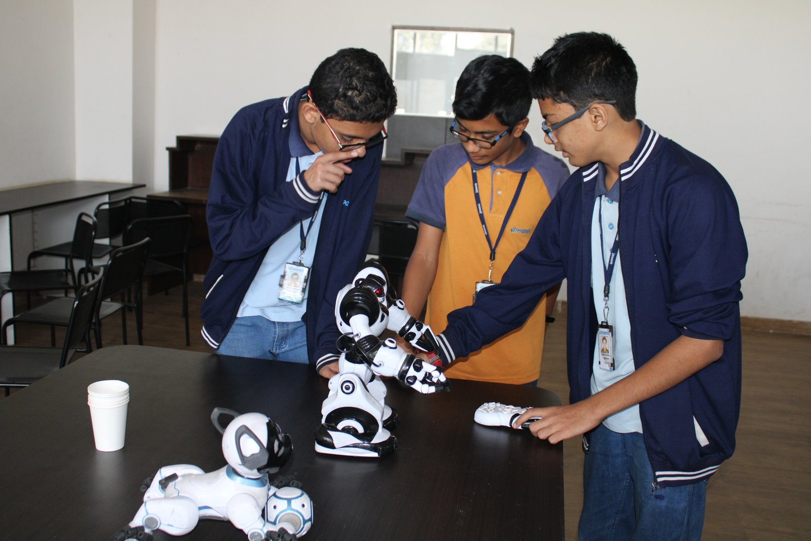 Treamis World School - Electronic City