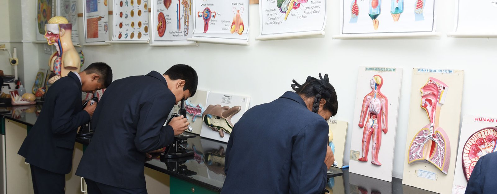 Young Scholars Academy - Hebbal
