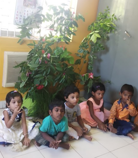 Apple Kids - Koyambedu