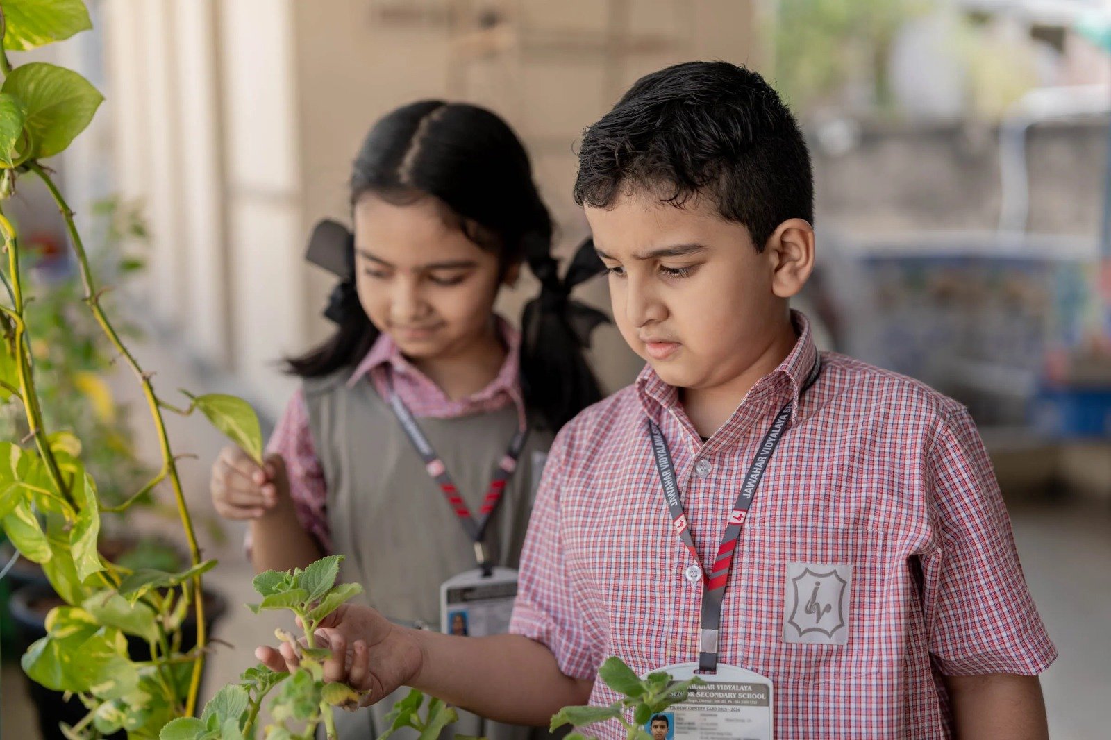 Jawahar Vidyalaya Senior Secondary School - Ashok Nagar