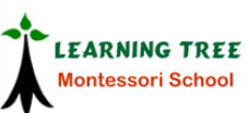 Learning Tree - Adyar
