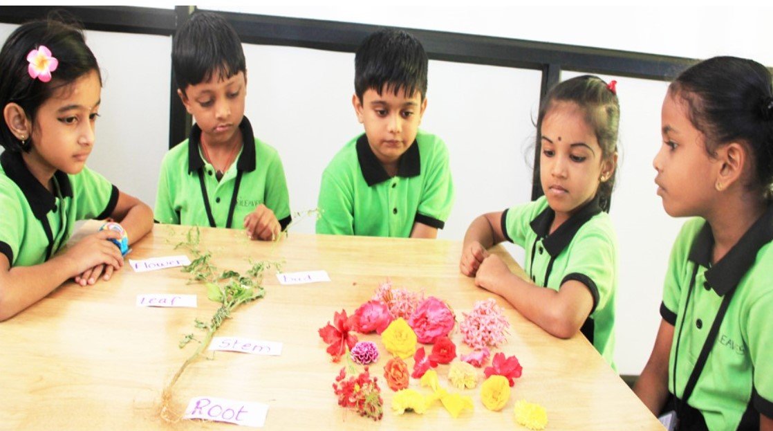 Trileaves International School - Sembakkam
