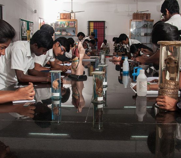 Vaels International School - Injambakkam