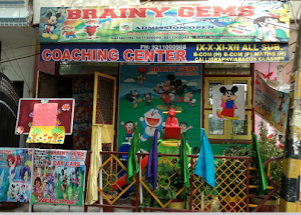 Brainy Gems - Beri Wala Bagh