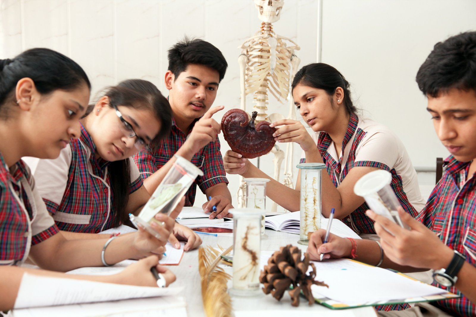 DAV Public School - Anand Vihar