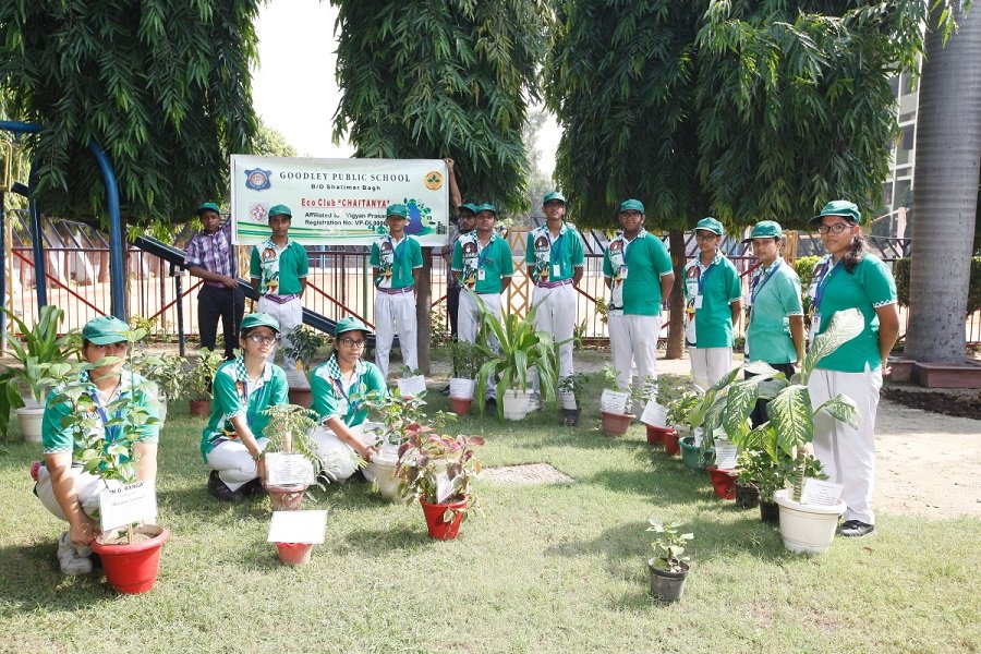 Goodley Public School - Shalimar Bagh