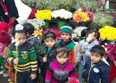 Little Millennium - Sonipat - Narela Road