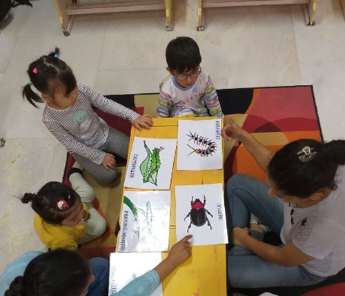 Little Senators - Pandav Nagar