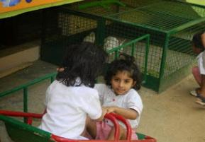 Little Wonders - New Friends Colony