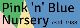 Pink 'n' Blue Nursery - Mayur Vihar