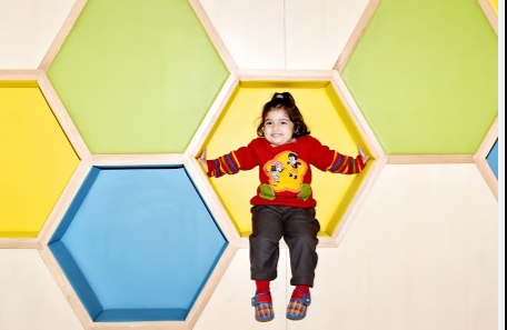 Shemrock Junior - Paschim Vihar