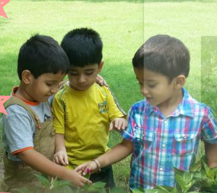Taleem Nursery School - Mehrauli
