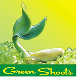 The Green Shoots - Dwarka