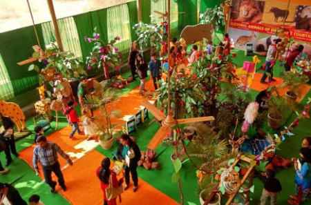 VIS Kids - Dwarka