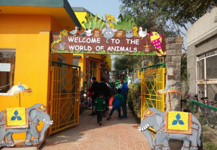 VIS Kids - Dwarka