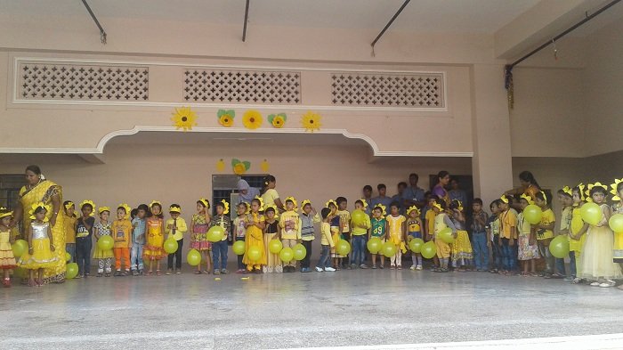 Dilsukhnagar Public School - R K Puram