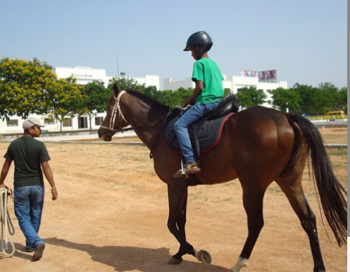 Rotterdam International School - Narepally