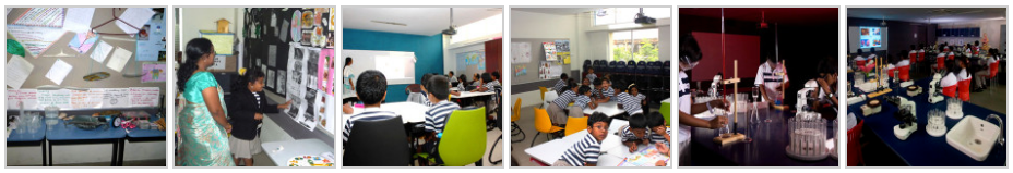 The Indian Public School(TIPS)-PBEL City Campus - Rajendranagar mandal