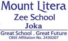 Mount litera zee school - Nilganj Road