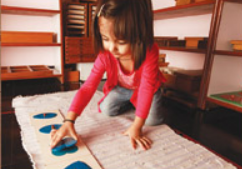 Harmony Montessori - Khar West