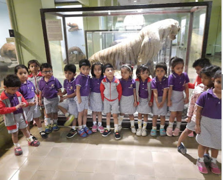 Kangaroo kids - Parel
