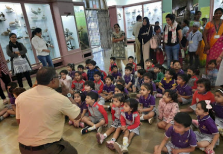 Kangaroo kids - Parel