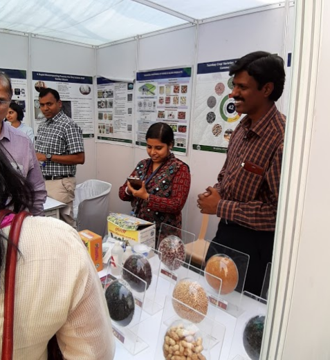 NES International School - Mulund West