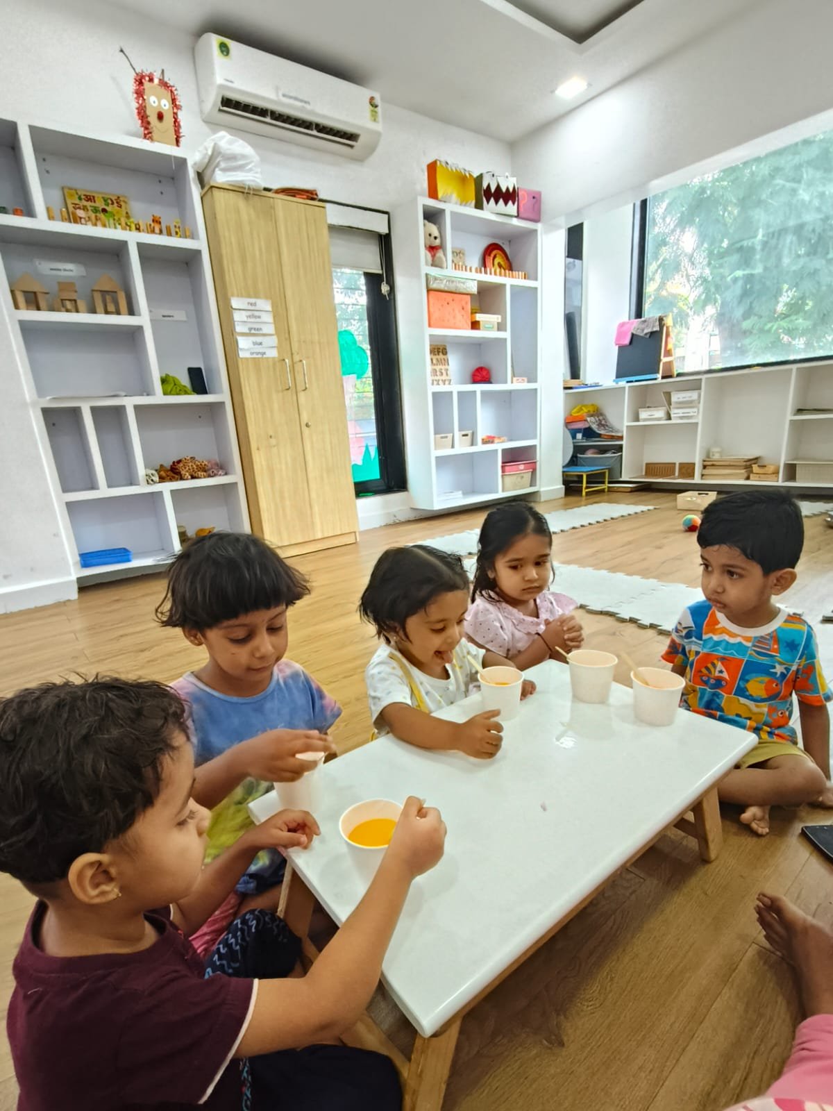 Mindseed - Chinchwad East