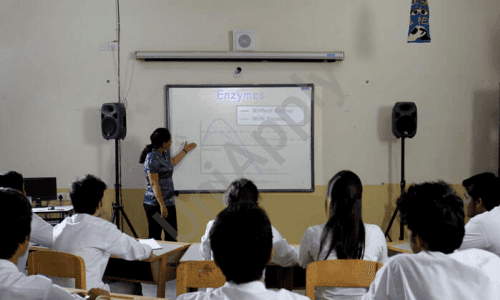 Amity Global School
