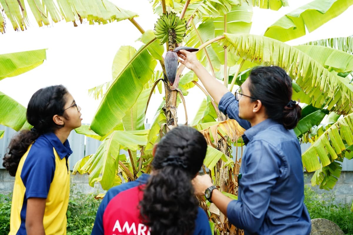 Amrita International Vidyalayam