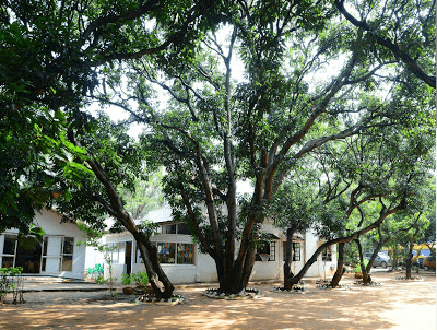 AMRUTHA BHARATHI VIDYA KENDRA