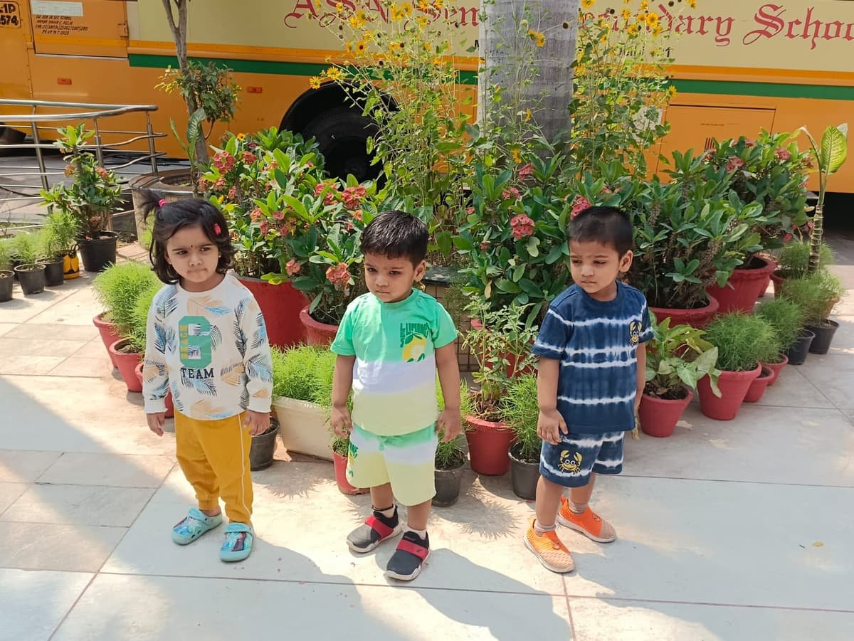 ASN International School
