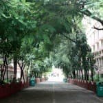 Bharatiya Vidya Bhavans Public School
