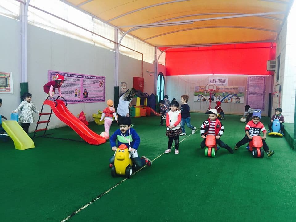 Blossoms International Play School