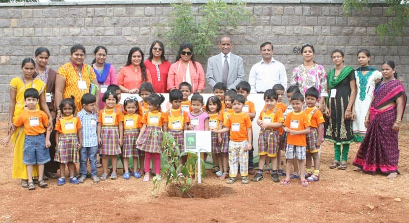 Blossoms International Play School