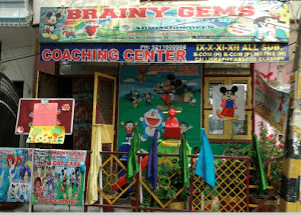 Brainy Gems