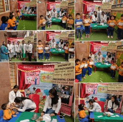 Bright Kid Montessori House