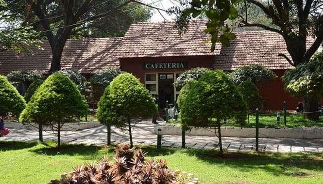 Cathedral School
